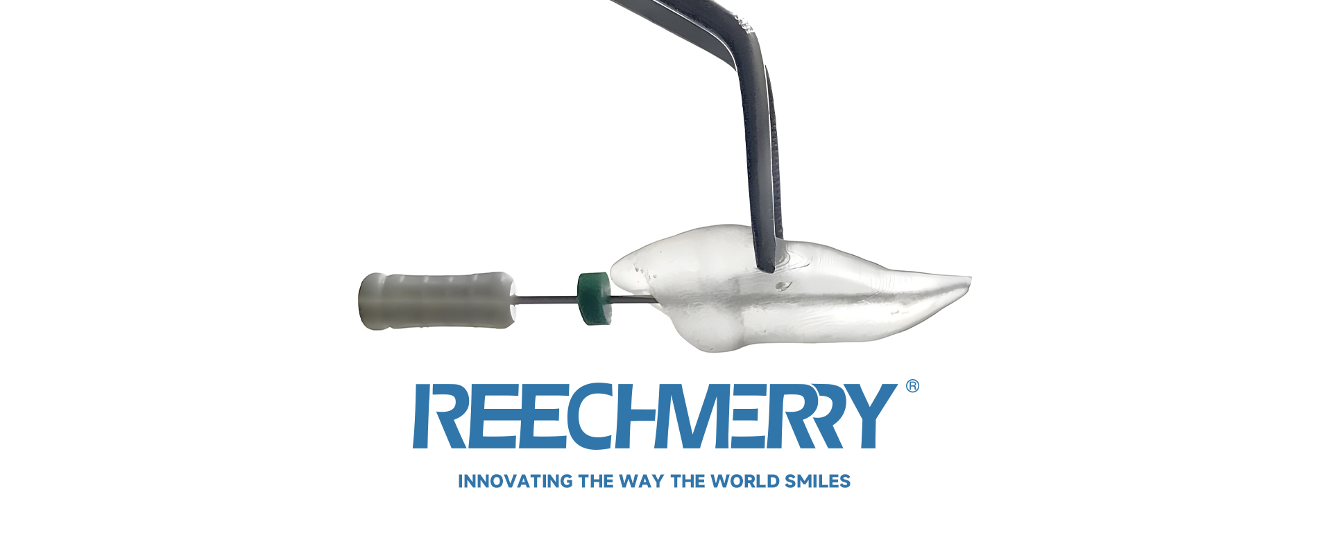REECHMERRY - Innovating the Way the World Smiles