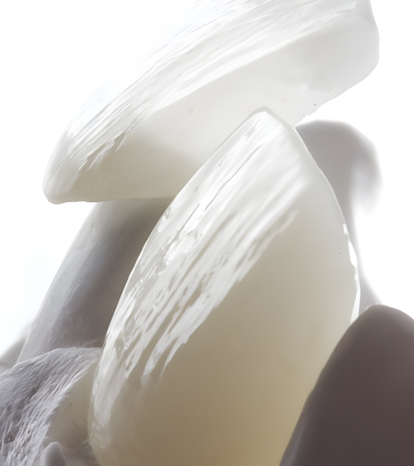 Premium dental restoration aesthetics — REECHMERRY mission, vision, and values